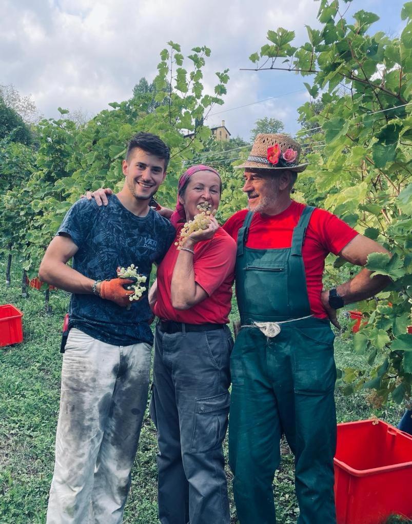 Agriturismo Le Noci Tarzo Екстер'єр фото