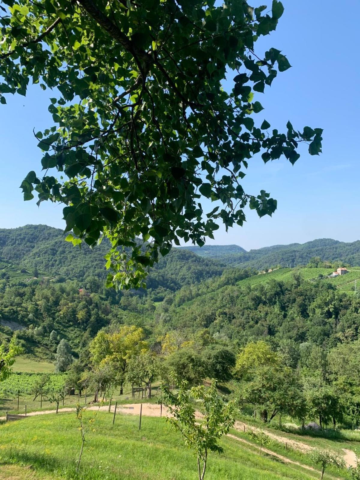 Agriturismo Le Noci Tarzo Екстер'єр фото