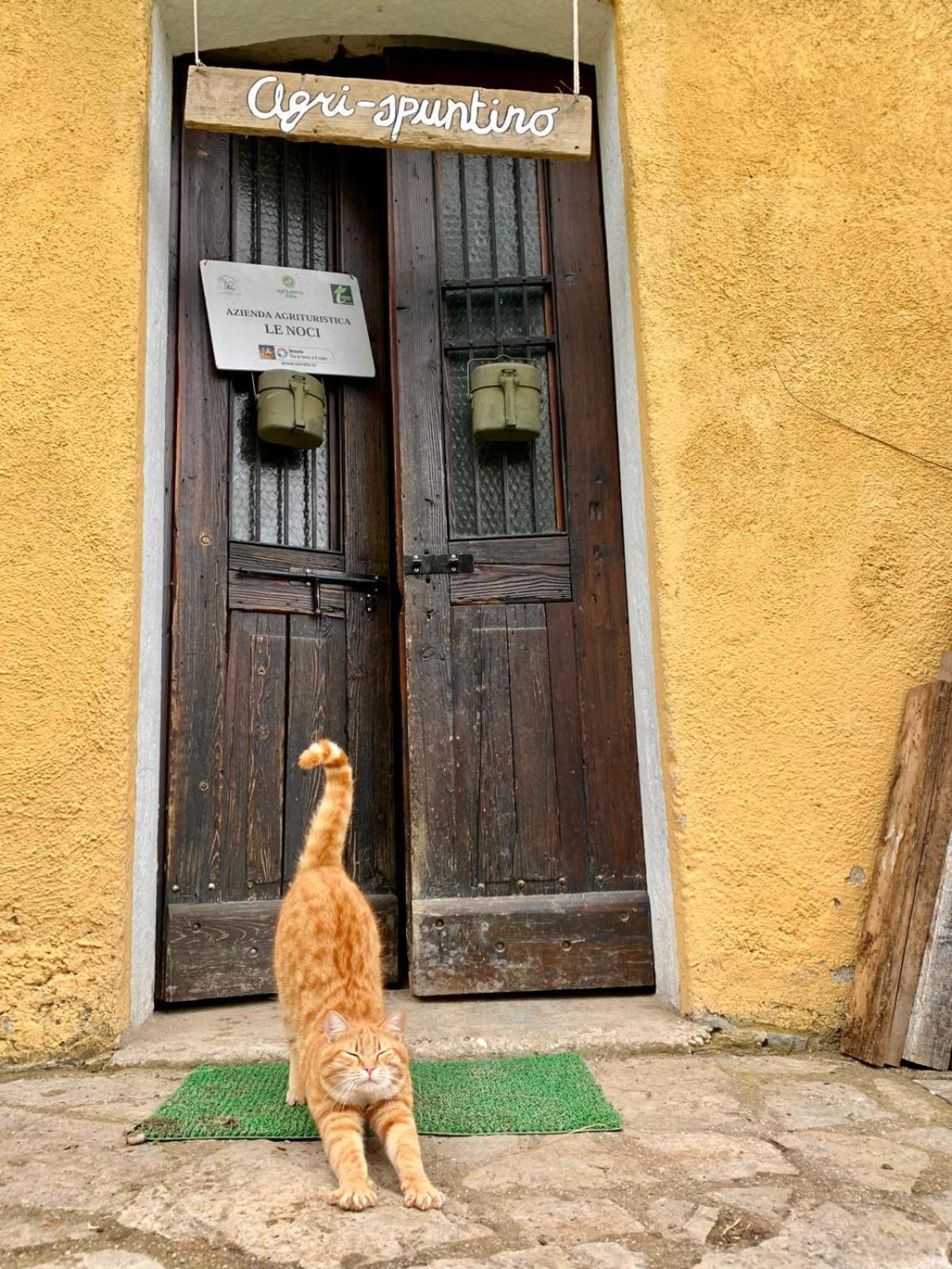 Agriturismo Le Noci Tarzo Екстер'єр фото